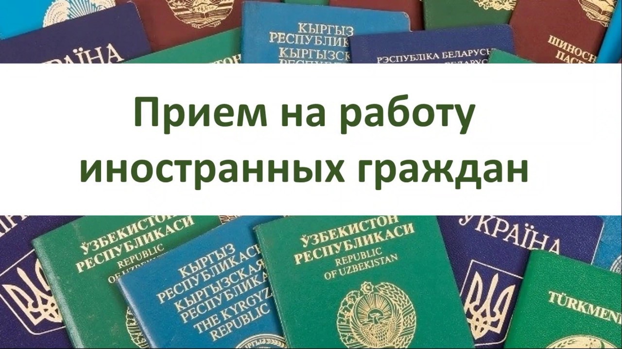 🔥В Новгородской области введен запрет на прием на работу иностранных граждан по отдельным видам деятельности.