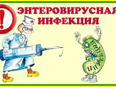 О мерах профилактики энтеровирусной инфекции.
